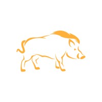 Golden Boar Solutions logo, Golden Boar Solutions contact details