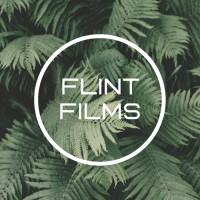 Flint Films logo, Flint Films contact details