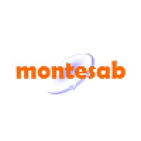 MONTESAB consulting logo, MONTESAB consulting contact details