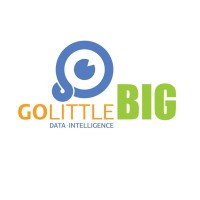 GoLittleBig Technology Solutions logo, GoLittleBig Technology Solutions contact details