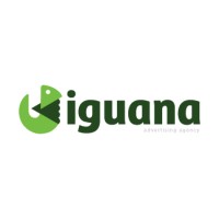 iguana.agency logo, iguana.agency contact details