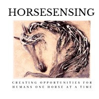 HorseSensing logo, HorseSensing contact details