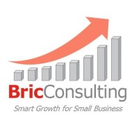 BricConsulting logo, BricConsulting contact details