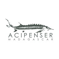 Acipenser Madagascar logo, Acipenser Madagascar contact details