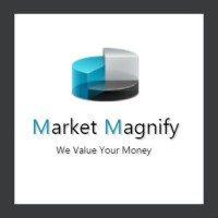 Market Magnify Investment Adviser & Research Pvt. Ltd logo, Market Magnify Investment Adviser & Research Pvt. Ltd contact details