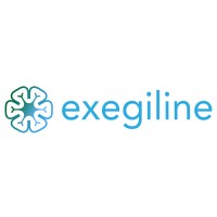 Exegiline logo, Exegiline contact details