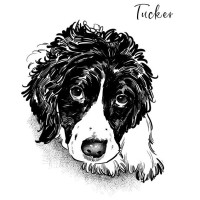 Tucker Realty LLC logo, Tucker Realty LLC contact details