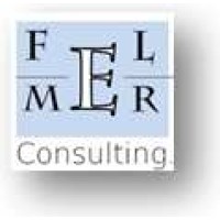 FELMER Consulting Inc. logo, FELMER Consulting Inc. contact details