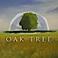 Oak Tree Properties logo, Oak Tree Properties contact details