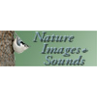 Nature Images and Sounds, LLC and Wood Song Studios logo, Nature Images and Sounds, LLC and Wood Song Studios contact details