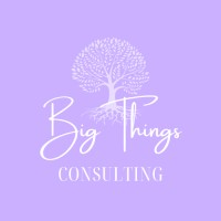 Big Things Consulting logo, Big Things Consulting contact details