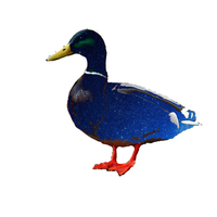 Duck MKTG logo, Duck MKTG contact details