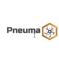 Pneuma Consulting logo, Pneuma Consulting contact details