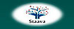 Staava Consultancy Private Limited logo, Staava Consultancy Private Limited contact details