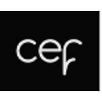 CEF Danışmanlık logo, CEF Danışmanlık contact details