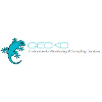 Gecko Environmental logo, Gecko Environmental contact details