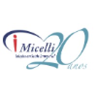 Micelli & Associados logo, Micelli & Associados contact details