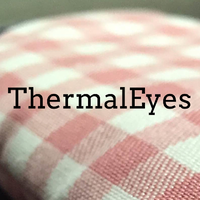 ThermalEyes logo, ThermalEyes contact details