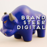 Brand Steer Digital logo, Brand Steer Digital contact details