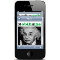 Mobilisize logo, Mobilisize contact details