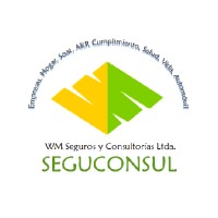 WM Seguros y Consultorias Ltda (Seguconsul) logo, WM Seguros y Consultorias Ltda (Seguconsul) contact details