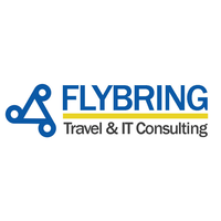 Flybring Consulting logo, Flybring Consulting contact details