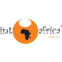 Into Africa Tours logo, Into Africa Tours contact details