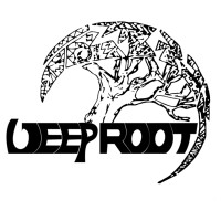 Deep Root Records logo, Deep Root Records contact details