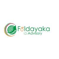 Faldayaka Advisory Services logo, Faldayaka Advisory Services contact details