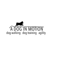 A Dog In Motion logo, A Dog In Motion contact details