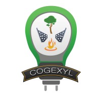 CogexylEnergy logo, CogexylEnergy contact details