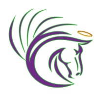 MyDataAngel.com logo, MyDataAngel.com contact details