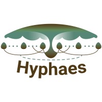 Hyphaes logo, Hyphaes contact details