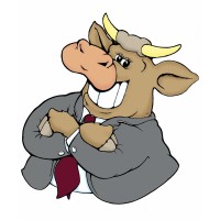 Bull Network Agency logo, Bull Network Agency contact details