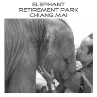 Elephant Retirement Park logo, Elephant Retirement Park contact details