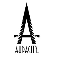 The Audacity Agency logo, The Audacity Agency contact details