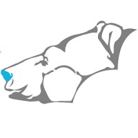 CloudBEAR logo, CloudBEAR contact details