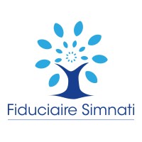 Simnati Consulting logo, Simnati Consulting contact details