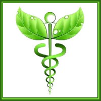 Health & Wealth Solutions LLC logo, Health & Wealth Solutions LLC contact details