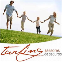 Tarling Asesores de Seguros logo, Tarling Asesores de Seguros contact details