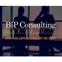 BIP Consulting Group logo, BIP Consulting Group contact details