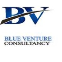 Blue Venture Consultancy Services logo, Blue Venture Consultancy Services contact details