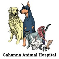 Gahanna Animal Hospital logo, Gahanna Animal Hospital contact details