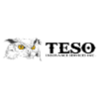 Teso Insurance Services, Inc. logo, Teso Insurance Services, Inc. contact details