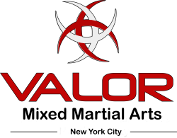 Valor Mixed Martial Arts logo, Valor Mixed Martial Arts contact details