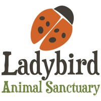 Ladybird Animal Sanctuary logo, Ladybird Animal Sanctuary contact details