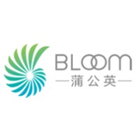 Bloom Edu logo, Bloom Edu contact details