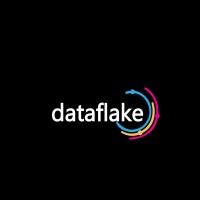 Dataflake LLC logo, Dataflake LLC contact details