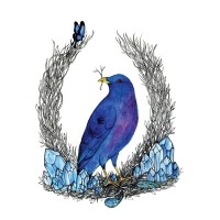 Bowerbirdie logo, Bowerbirdie contact details