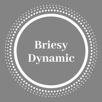 Briesy Dynamic logo, Briesy Dynamic contact details